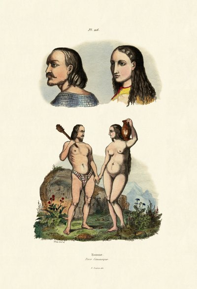 Caucasians by French School